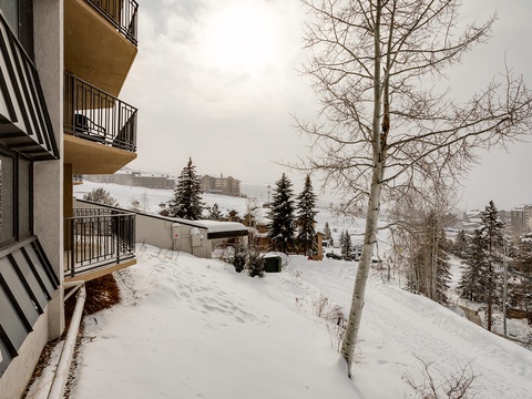 Snow-covered exterior grounds framed by evergreens and aspens, offering a peaceful winter mountain setting near the property entrance.