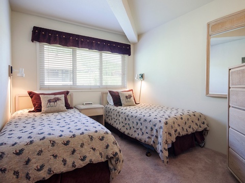 Two cozy twin beds await with charming moose-patterned bedding and warm reading lights, offering you a peaceful retreat after your mountain adventures.