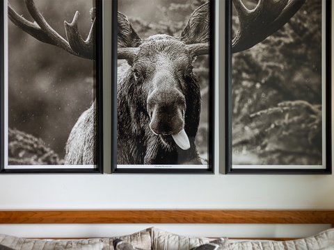 Relax under striking wildlife art that brings rustic mountain charm to your bedroom. Artfully framed photographs create a cozy lodge atmosphere where you can unwind.