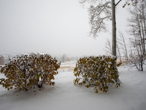 The property sits amid a serene winter landscape, where snow-dusted trees and rolling fields create a peaceful mountain setting perfect for a cozy seasonal retreat.