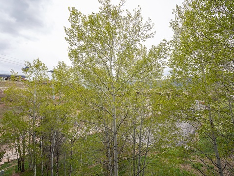 Spring foliage surrounds the property with fresh greenery and peaceful natural scenery, creating a serene seasonal backdrop.