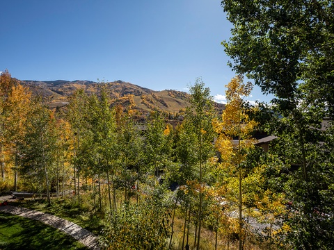 Mountain landscape surrounded by aspen trees displaying vibrant autumn colors under clear blue skies, part of the scenic area near the property.