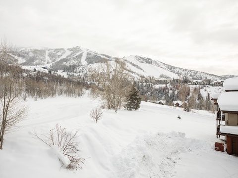 A serene winter landscape reveals pristine ski slopes carved into snow-covered mountains, with the property nestled among trees in a peaceful alpine neighborhood.
