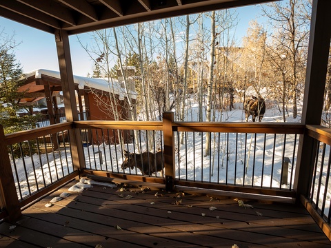 A covered deck overlooks snow-dusted slopes and bare aspen trees with mountain views stretching beyond, framing a peaceful winter scene for the property.