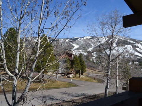 Sweeping mountain views showcase snow-covered slopes and forested peaks beyond the property's quiet residential setting, framing a peaceful mountain community.