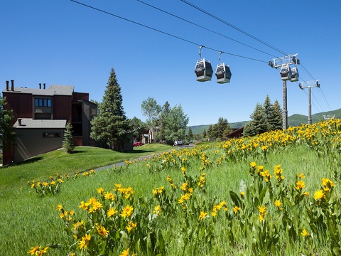 A charming mountain retreat surrounded by lush meadows blooming with wildflowers, offering convenient gondola access to slopes and trails right from the neighborhood.