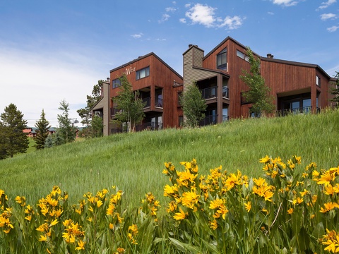 A modern mountain lodge set on a grassy hillside, framed by vibrant wildflowers and evergreen trees, offering a peaceful retreat in a natural alpine setting.