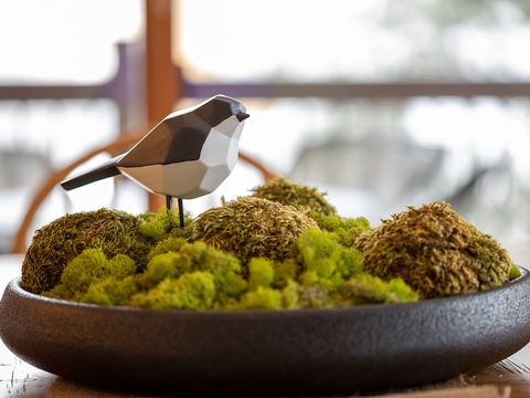 A charming decorative accent awaits you, where a geometric bird figurine rests on a bed of vibrant moss, adding artful warmth and natural elegance to your space.