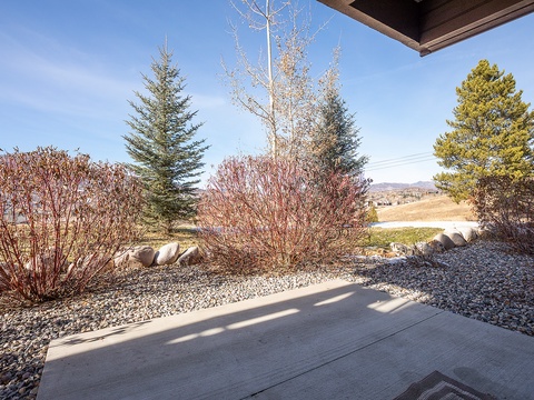 The property offers sweeping views of rolling hills and distant mountains, framed by mature evergreens and seasonal landscaping along the perimeter.