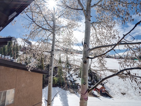 A snowy mountain slope dotted with evergreens and cabins, framed by bare aspen branches under bright winter sun and blue sky.