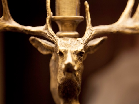 An elegant golden deer sculpture adds a touch of refined rustic charm to your retreat, blending artistry with natural warmth in the décor.