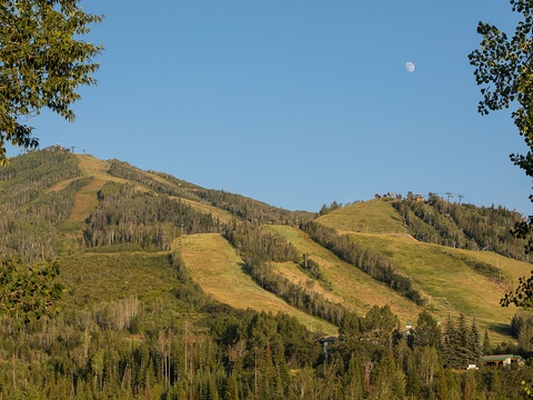 A ski resort nestled in forested mountain slopes offers seasonal recreation under clear skies with the moon visible above.