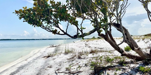 White Sands Beach Retreat Photo