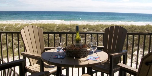 Turtles Nest Photo