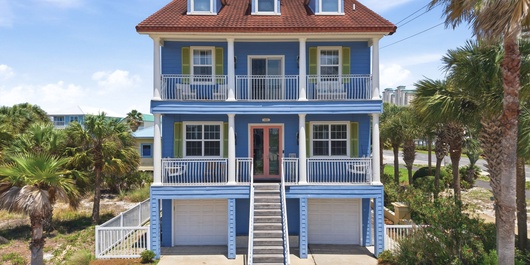 Periwinkle Paradise Photo