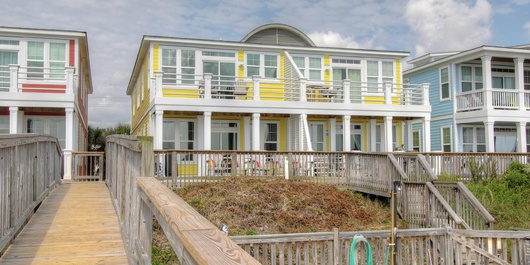 NF1212A: Banana Cabana Photo