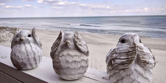 OD805: Three Little Birds Photo