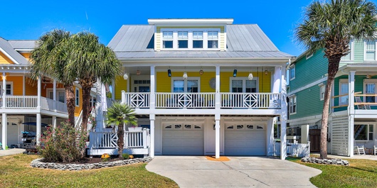 NFW802: The Palm Tree Palace Photo