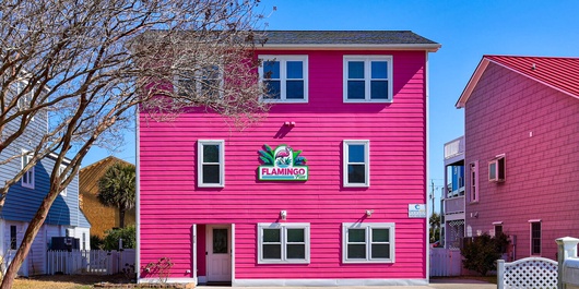 SFW925: Flamingo Fun Photo