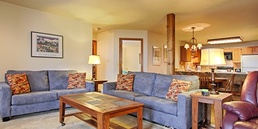 Cimarron 309 Photo