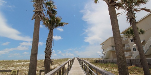 Boardwalk F3 Photo