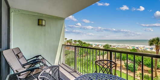 Carolina Dunes 204 Photo