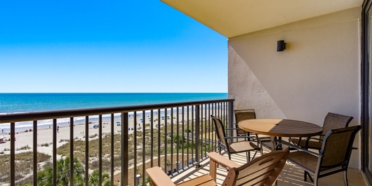 Carolina Dunes 503 Photo