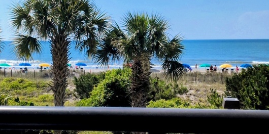 South Wind 208 Photo