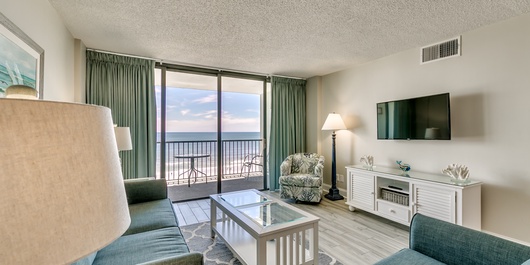 Carolina Dunes 606 Photo
