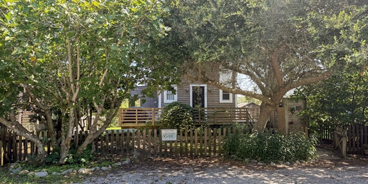 CR60: Treehouse Charlie Photo