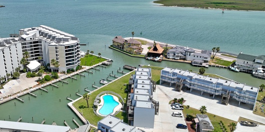Bay Tree A1314 Photo