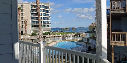 Bay Tree B1314 Photo