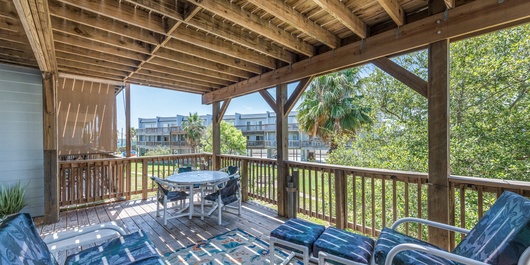 Bay Tree B1112 Photo