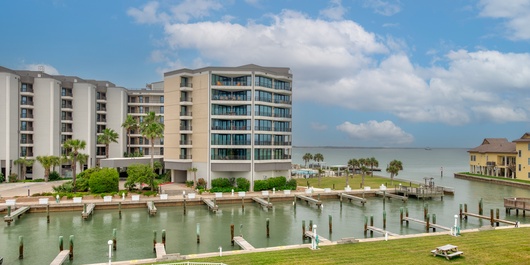 Bay Tree C6 Photo