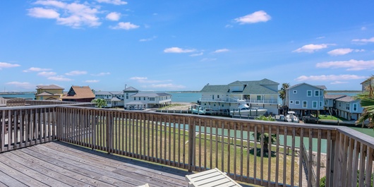 Bay Tree D1516 Photo