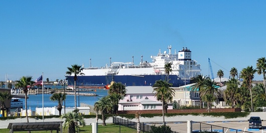 Bay Tree A2 Photo