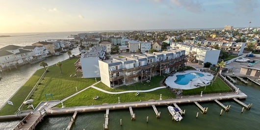 Bay Tree A78 Photo