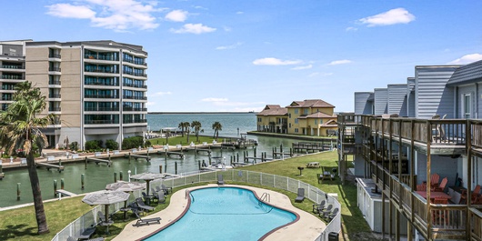 Bay Tree B1516 Photo