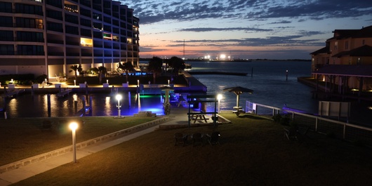 Bay Tree D1 Photo