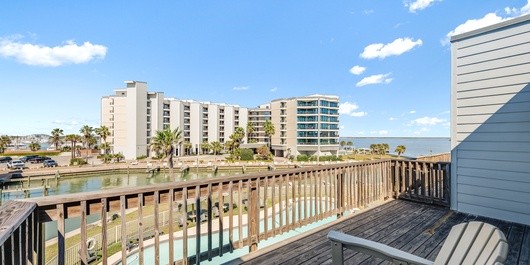 Bay Tree C4 Photo