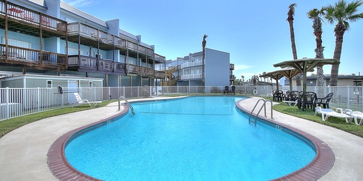 Bay Tree B5 Photo