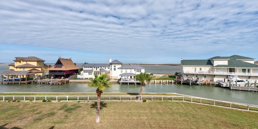 Bay Tree D6 Photo