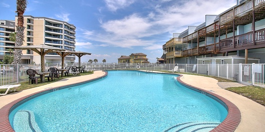 Bay Tree B4 Photo