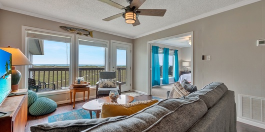 Serene Seashell BH508 Photo