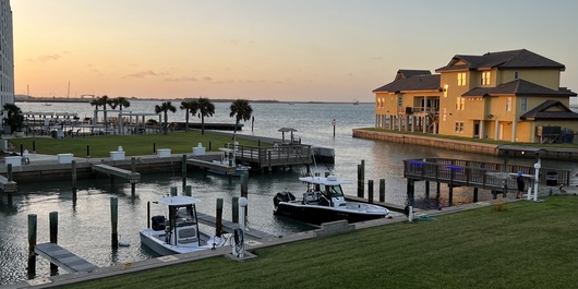 Bay Tree C1112 Photo