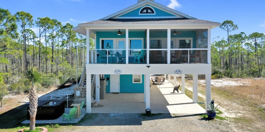 Dolphin Daze Photo