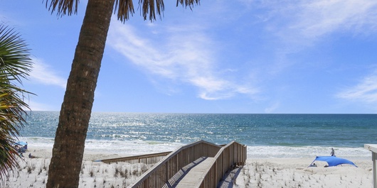 Barrier Dunes 156 - 11 Sand Dollar Dreams Photo