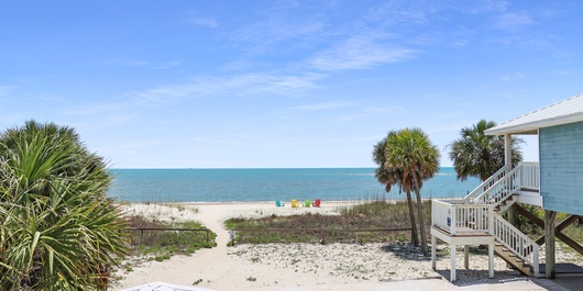 Summer Breeze Photo