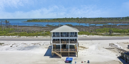 Dolphin Watch Photo
