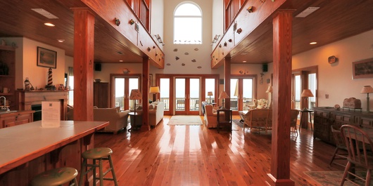 Hatchling Hideaway Photo